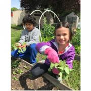 Kids Gardening