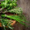 Fresh Herbs