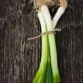 Leeks Recipes