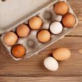 Egg  Recipes