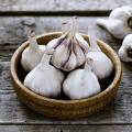 Garlic 
